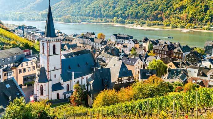 rhine valley half day tour from frankfurt
