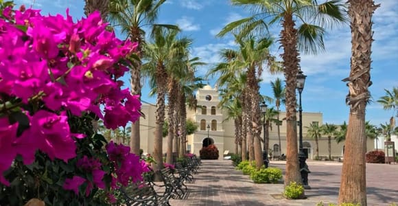 Todos Santos Encounter Tour
