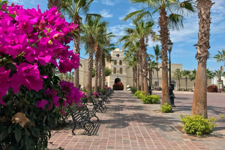 Todos Santos Encounter TourTodos Santos Encounter Tour ohne Mittagessen