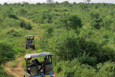 Traslado de Ella a Mirissa/Galle/Hikkaduwa en Udawalawa Safari