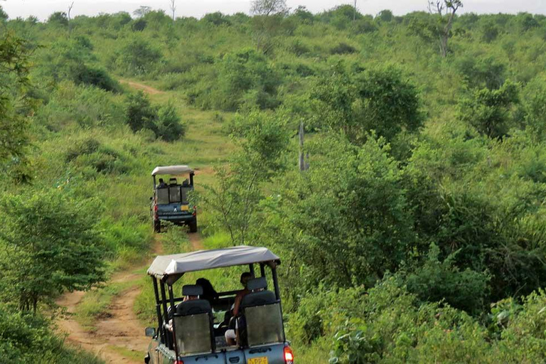 Transfert d&#039;Ella à Mirissa/Galle/Hikkaduwa en Udawalawa Safari