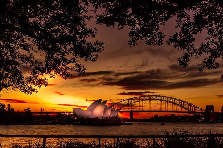 Sydney: Sydney Highlights Night Tour met lokale fotograafSydney: zonsondergang geheime fotohotspots met wijn en kaas