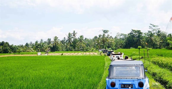Bali: Vintage VW Jeep Countryside Safari