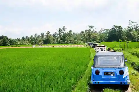 Bali: Vintage VW Jeep Countryside Safari