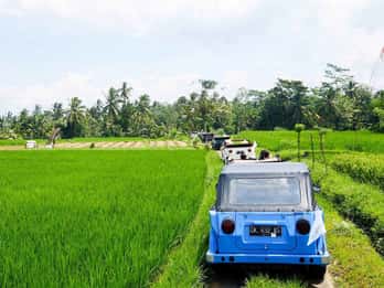 Bali: Safari in campagna con jeep VW vintage