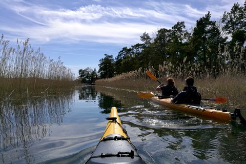 Stoccolma: Tour dell&#039;arcipelago di Stoccolma in kayak di un giorno intero