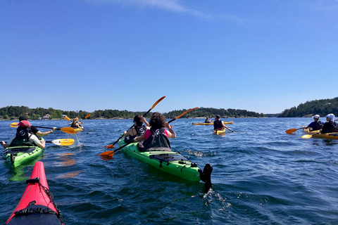 Sztokholm: Całodniowa wycieczka kajakiem po Archipelagu Sztokholmskim