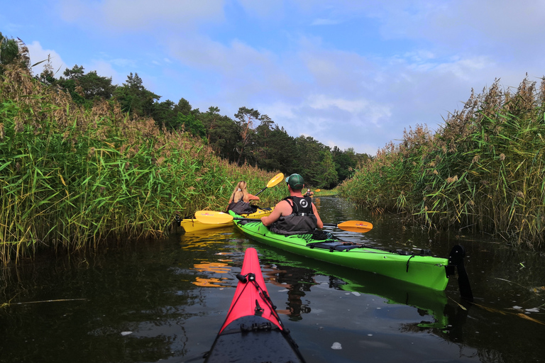 Estocolmo: Excursión en kayak de día completo por el archipiélago de Estocolmo