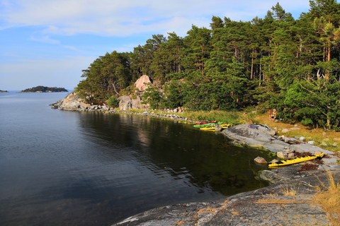 Stockholm: Stockholms skärgård heldagstur med kajak