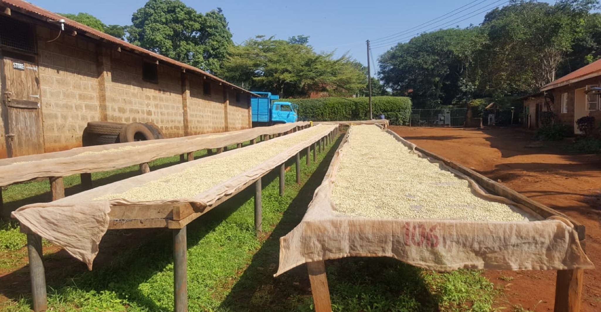 Nairobi, Coffee Farm and Factory Tour with Tasting yakınlarında yapılacak şeyler - Hizvo
