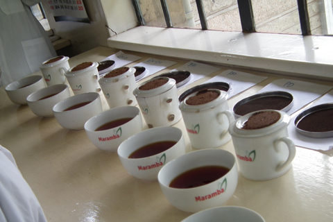 Nairobi: Coffee Farm and Factory Tour with Tasting