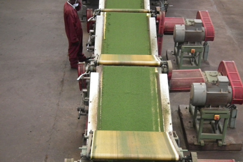 Nairobi: Coffee Farm and Factory Tour with Tasting