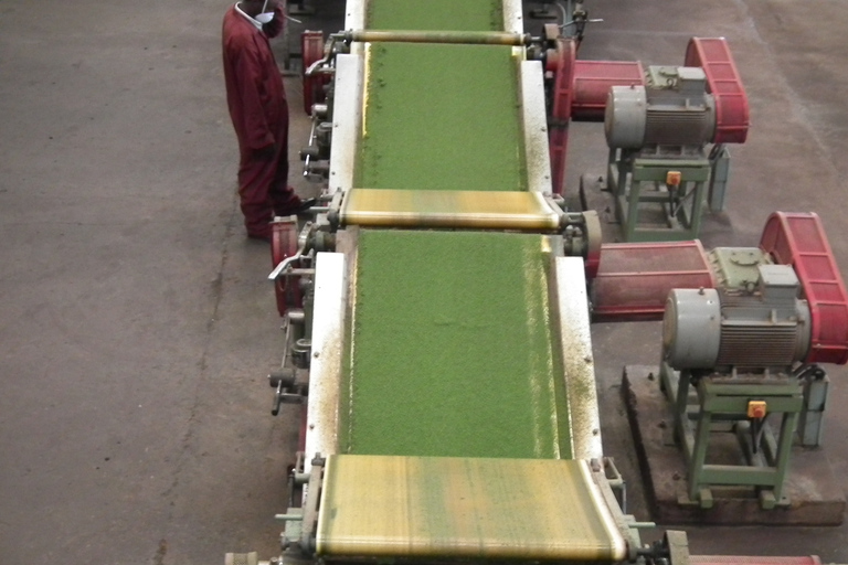 Nairobi: Coffee Farm and Factory Tour with Tasting