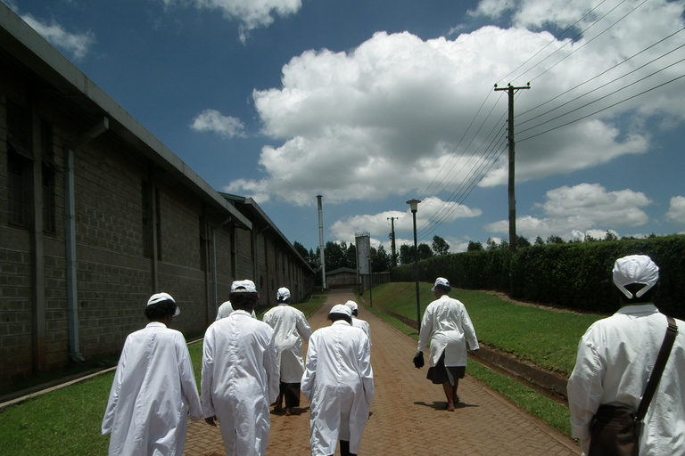 Nairobi: Coffee Farm and Factory Tour with Tasting