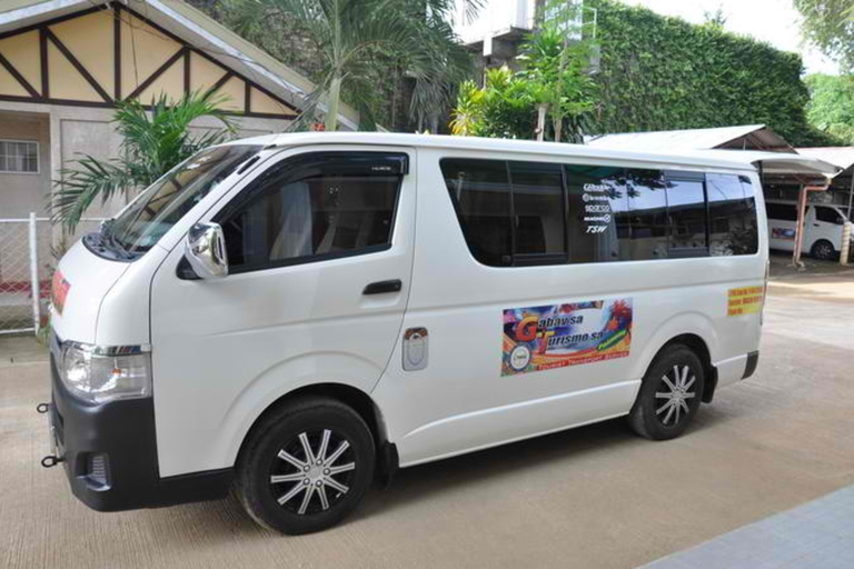 Puerto Princesa Airport: One-Way Transfer to/from PPS City One-Way Downtown Transfer