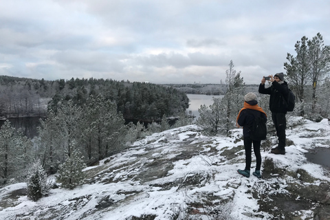 Estocolmo: caminhada na natureza no inverno com almoço na fogueira