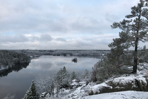 Stockholm: winterwandeling door de natuur met kampvuurlunch