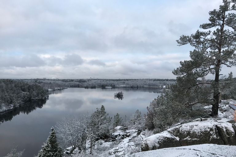 Stockholm: Winterliche Naturwanderung mit Mittagessen am Lagerfeuer