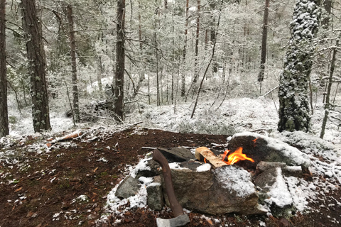 Stockholm: Winterliche Naturwanderung mit Mittagessen am Lagerfeuer