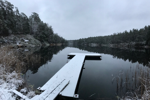 Stockholm: winterwandeling door de natuur met kampvuurlunch