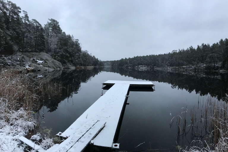 Stockholm: winterwandeling door de natuur met kampvuurlunch