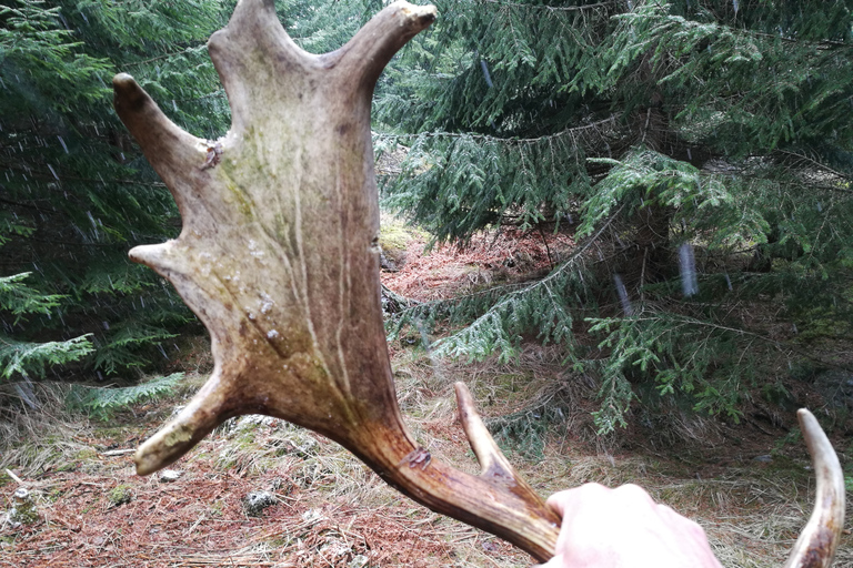 Stockholm: winterwandeling door de natuur met kampvuurlunch