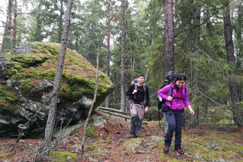 Estocolmo: caminhada na natureza no inverno com almoço na fogueira