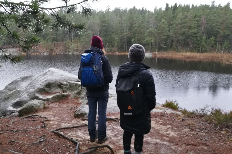 Estocolmo: caminhada na natureza no inverno com almoço na fogueira