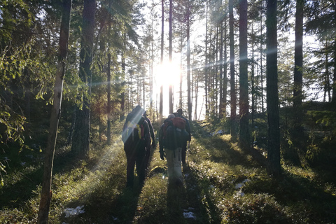 Estocolmo: caminhada na natureza no inverno com almoço na fogueira