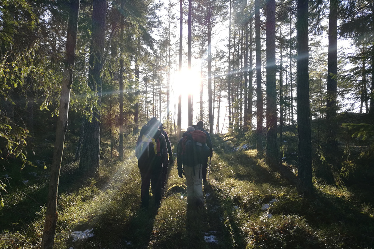 Stockholm: Winterliche Naturwanderung mit Mittagessen am Lagerfeuer