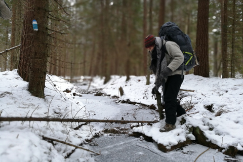 Stockholm: winterwandeling door de natuur met kampvuurlunch