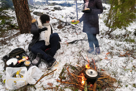 Estocolmo: caminhada na natureza no inverno com almoço na fogueira