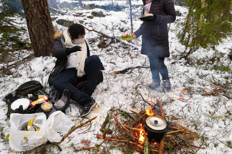 Sztokholm: Zimowa wycieczka przyrodnicza z lunchem przy ognisku