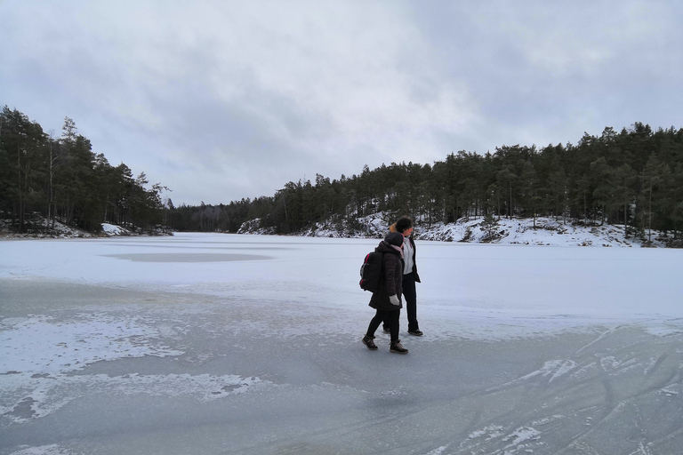 Estocolmo: caminhada na natureza no inverno com almoço na fogueira