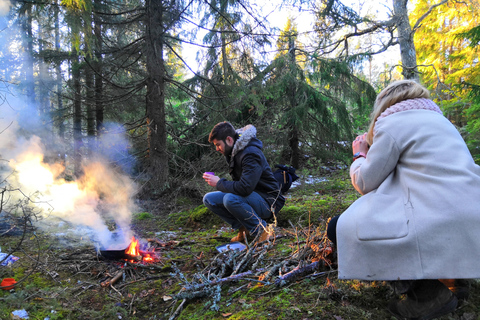 Stockholm : Randonnée hivernale et déjeuner autour d&#039;un feu