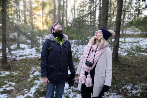 Estocolmo: caminhada na natureza no inverno com almoço na fogueira