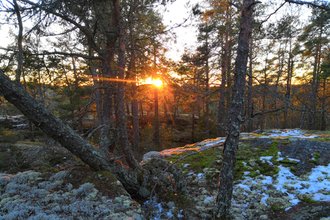 Estocolmo: caminhada na natureza no inverno com almoço na fogueira