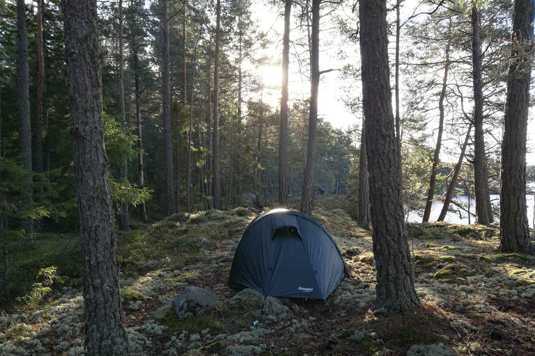 Stockholm: Utflykt på 2 dagar