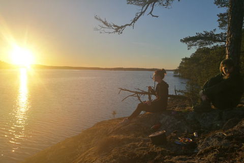 Stockholm: Utflykt på 2 dagar