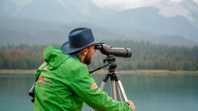 jasper national park interpretive nature walk