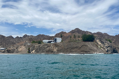 Muscat: Dolphin Watching Boat Tour