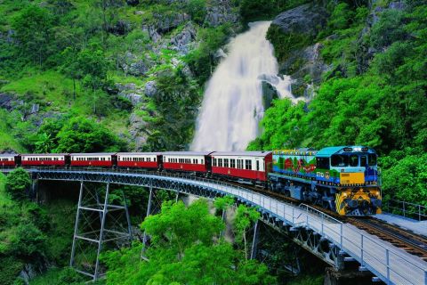 Cairns: Skyrail Seilbahn nach Kuranda und Bahntickets