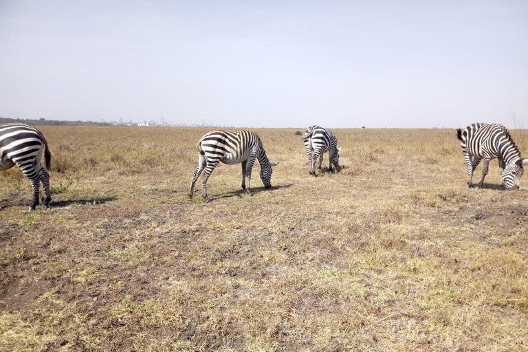 From Nairobi: Amboseli National Park 2-Day, 1-Night Trip