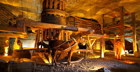 From Krakow: Auschwitz-Birkenau & Salt Mines with Lunch