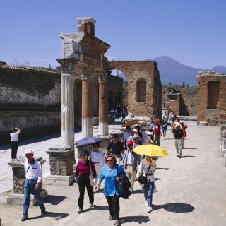 Pompeii and Herculaneum: Private Tour with Transportation