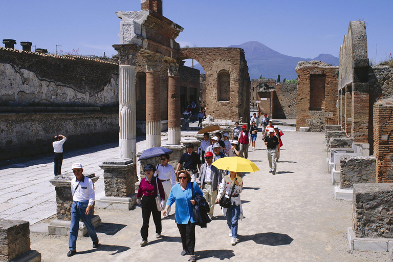 Pompeii and Herculaneum: Private Tour with Transportation