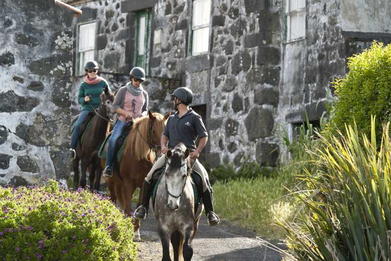 Faial Island: Horseback Riding on Lusitano Trail (1,5 hr)