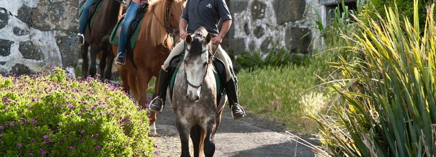 Faial Island: Horseback Riding on Lusitano Trail