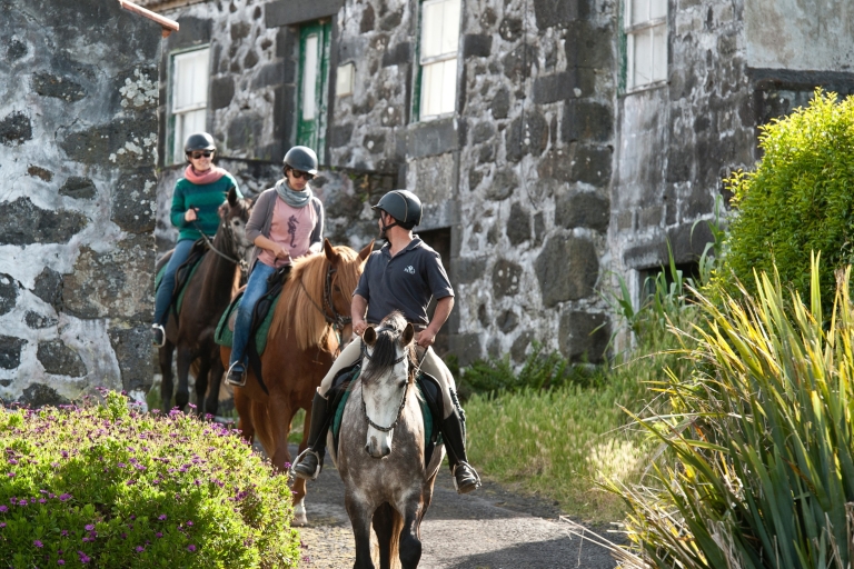 Faial Island: paardrijden op Lusitano Trail