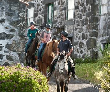 Faial Island: Horseback Riding on Lusitano Trail